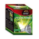 Terra Exotica UV Sun-Power Jungle 70 Watt Metalldampflampe